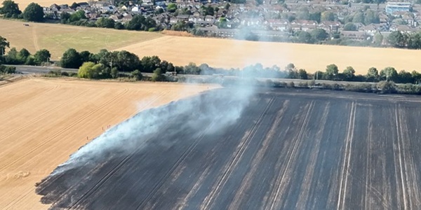 739_LFB summer.jpg